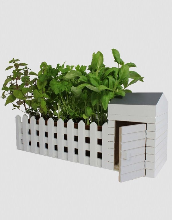 Indoor Allotment Planter