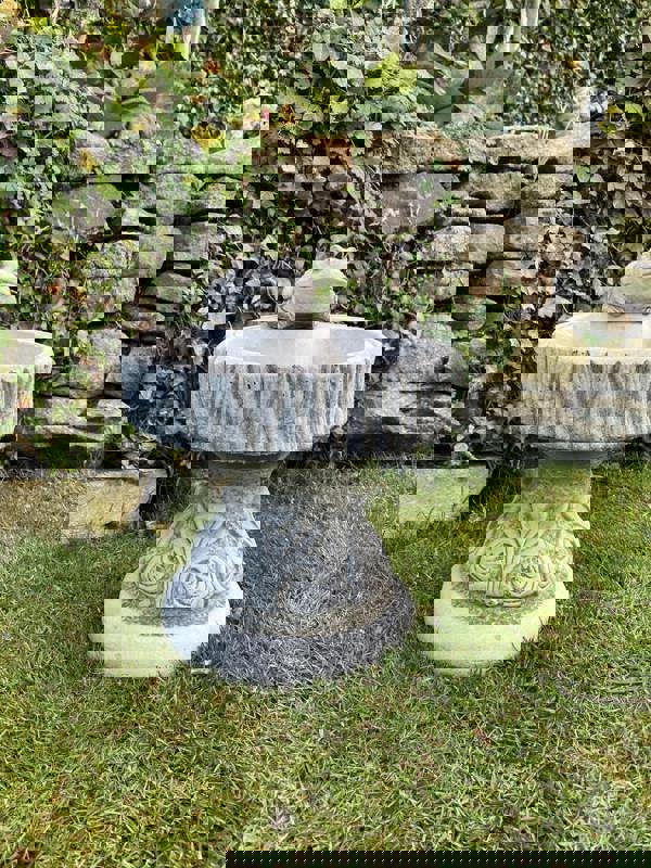 Rustic Garden Birdbath with Frog atop