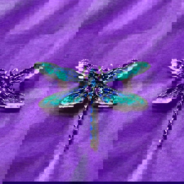 beret with brooch dragonfly