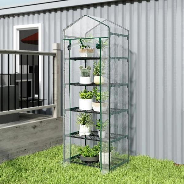 Five-tier mini greenhouse with clear PVC cover and green frame, plants on black shelves