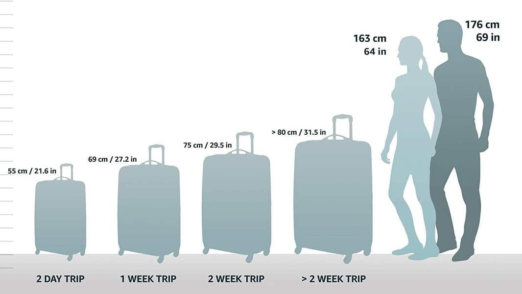 Dyzi S'Cure 75cm Black Large 4-Wheel Travel Spinner Suitcase