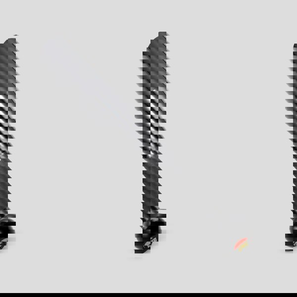 Phoenix Fitness 12KG Indian Club