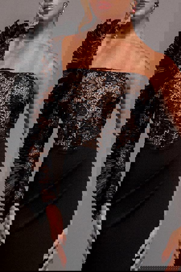 One Shoulder Organza  Fan Detail Lace Bodice Maxi Dress - Black DR4577