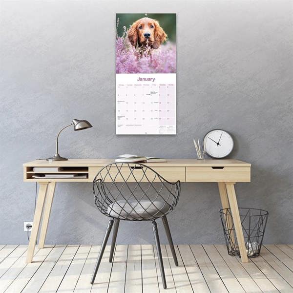 Irish Setter Calendar 2027, Wall Calendars, Month To View, Dogs, Gift