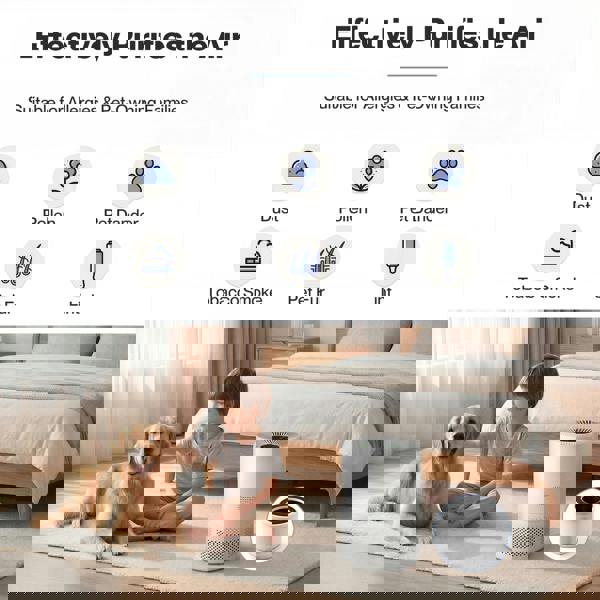 Spector Air Purifier Filter Core 3-in-1 HEPA High-Efficiency Activated Carbon