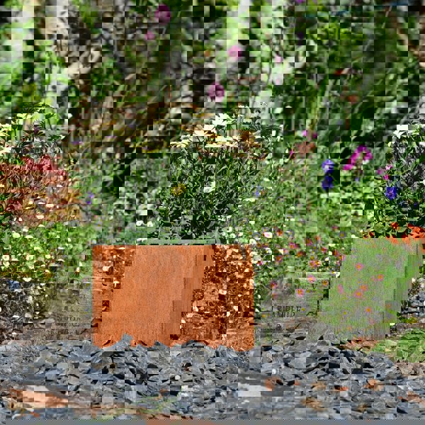 rusty square metal plant pot