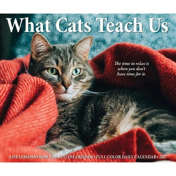 What Cats Teach Us Desk Calendar 2027, Desk Calendars, Day To View, Cats, Gift