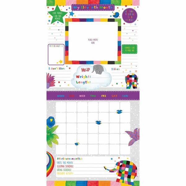 Elmer the Elephant Baby's First Year Calendar, Perpetual Calendars and Diaries, Month To View, History & Literature, Gift