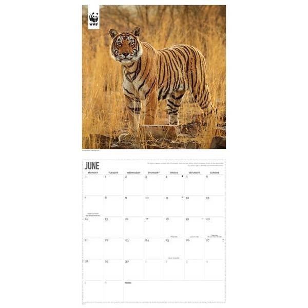WWF, Big Cats Calendar 2027, Wall Calendars, Month To View, Animals, Gift