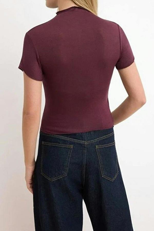 WOVCOR Fitted High Neck Short Sleeve Transparent Knitted Blouse