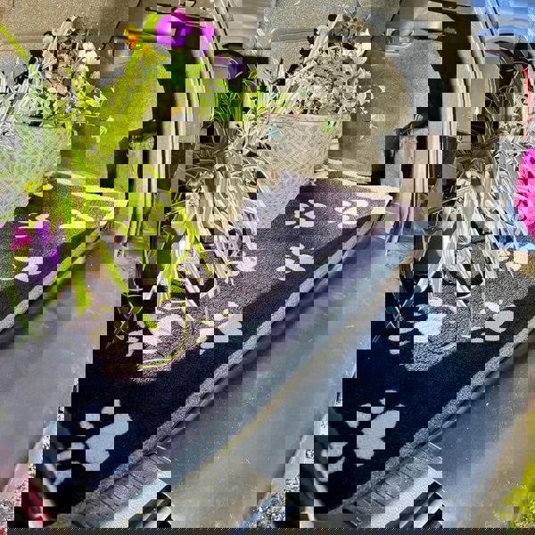 The Rugs Car Boot Paws Coir Doormat – 90×100 cm