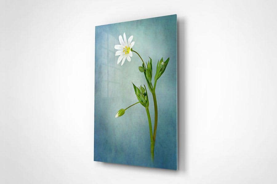 botanical wall art print