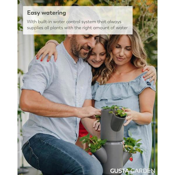 SISSI STRAWBERRY easy-watering strawberry tree