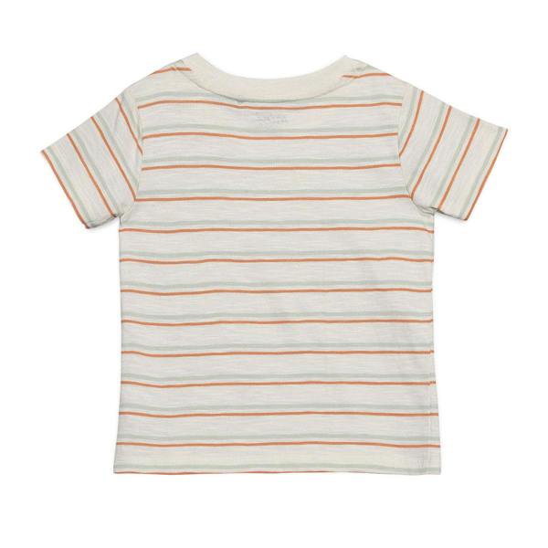 Mini Cuddles Baby Boys Striped 2pc Set, Multicolour