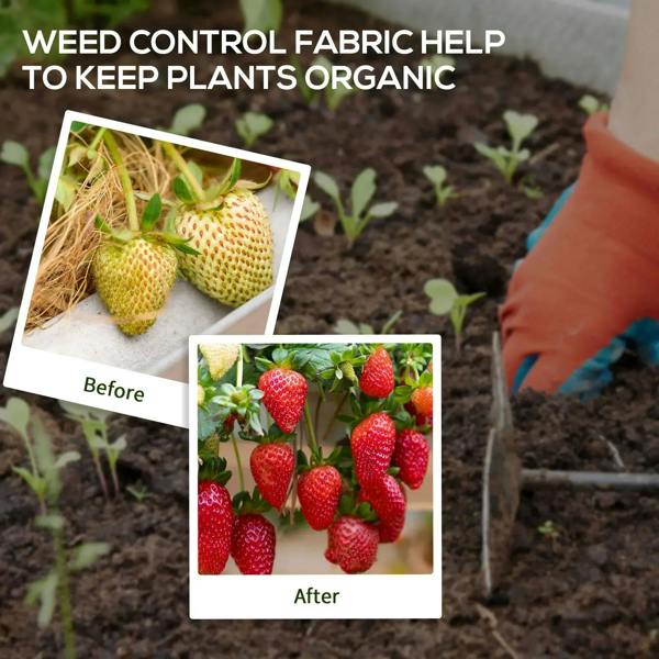 Black weed control membrane in soil with teal stitching, helping keep plants and reduce weeds