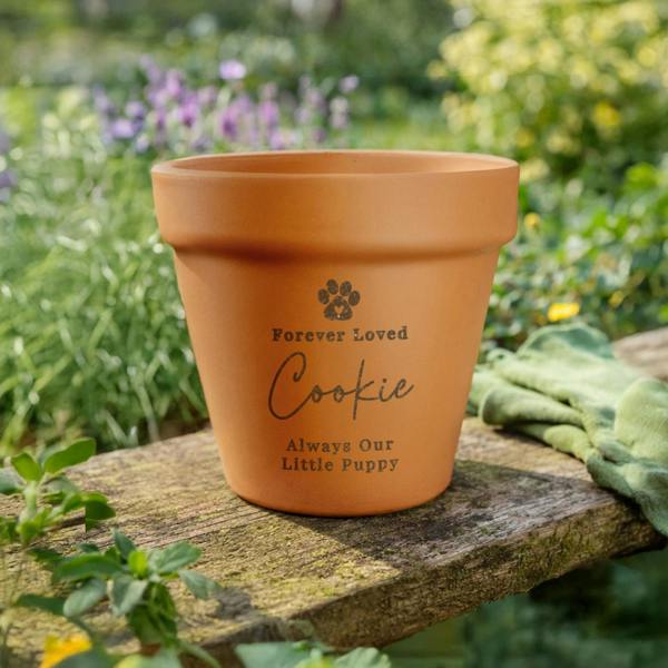 Personalised terracotta pet memorial plant pot sitting outdoors on a wooden bench engraved with a pawprint, Forever Loved, Cookie, Always Our Little Puppy.