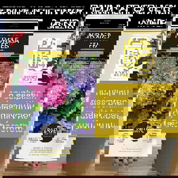 Bronte Heritage Hydrangea Feed – Controlled-release 120g granules for borders, pots & containers, Strong stems, vibrant blooms & healthy growth