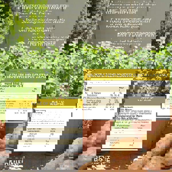 Bronte Heritage Potato Fertiliser 1kg – Organic, slow-release formula for stronger roots & larger tubers. Full-season feed with guide