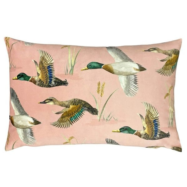 Evans Lichfield Country Duck Cushion Cover - Blush