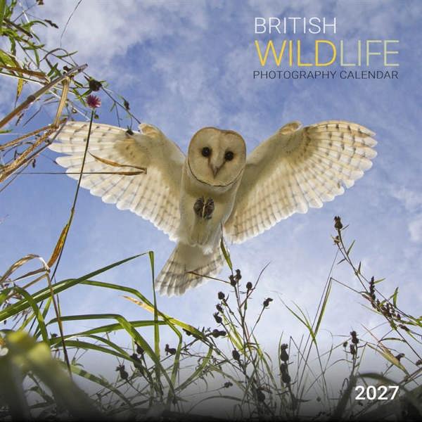 British Wildlife Photography Calendar 2027, Wall Calendars, Month To View, Animals, Gift