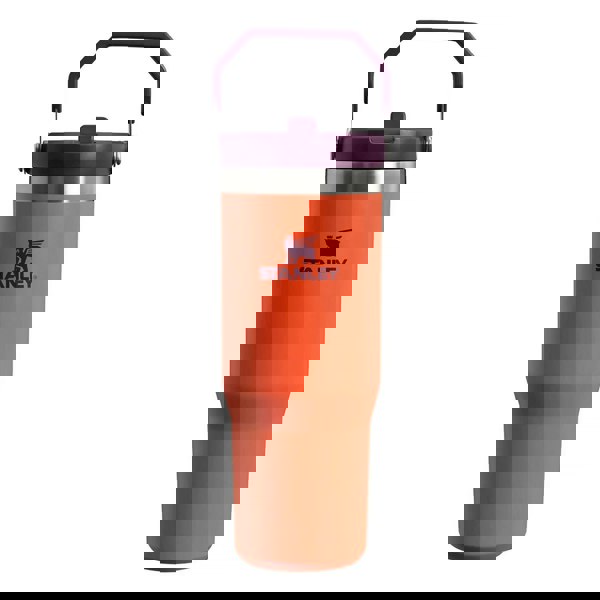 t4option1_6