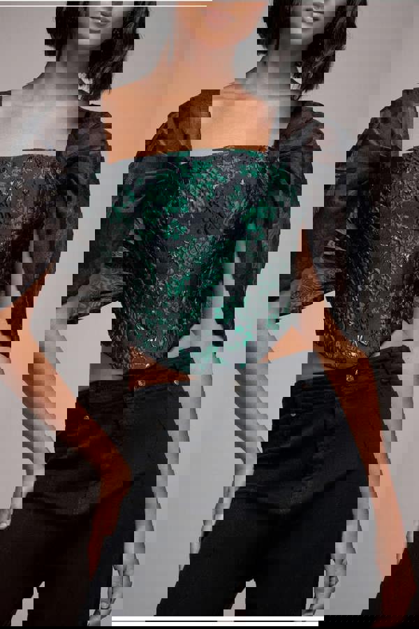 Off Shoulder Jacquard Top With Organza Wings - Emerald Black T231