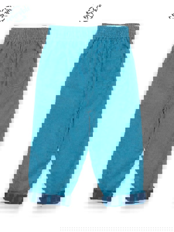 Kite Boys Organic Check Reversible Pull Ups