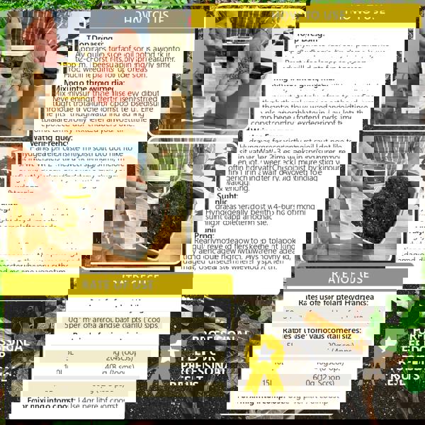 Bronte Heritage Hydrangea Feed – Controlled-release 120g granules for borders, pots & containers, Strong stems, vibrant blooms & healthy growth