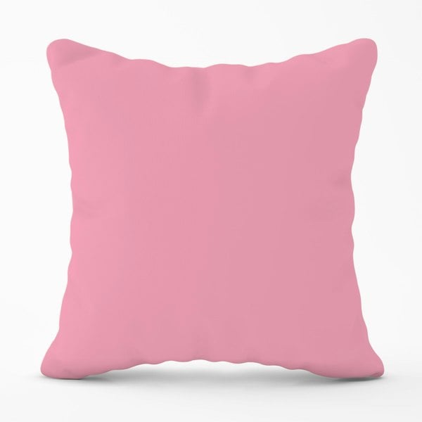 Warren Reed Baby Pink Cushions