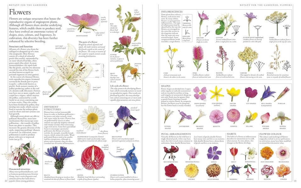 RHS A-Z Encyclopedia of Garden Plants 4th edition: (New Edition)