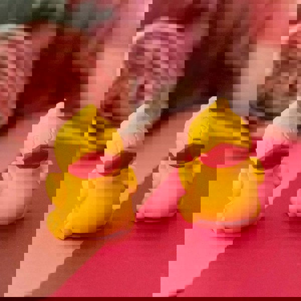 CHOC ON CHOC Quackers for you! Chocolate Ducks