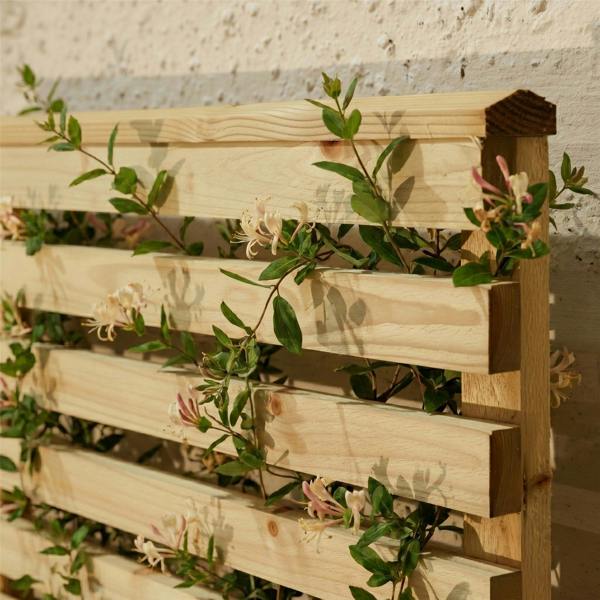4 pack trellis premier vogue [w.6ft x h.2ft] 1