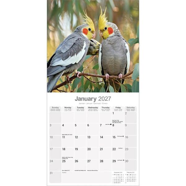 Cockatiels Calendar 2027, Wall Calendars, Month To View, Animals, Gift