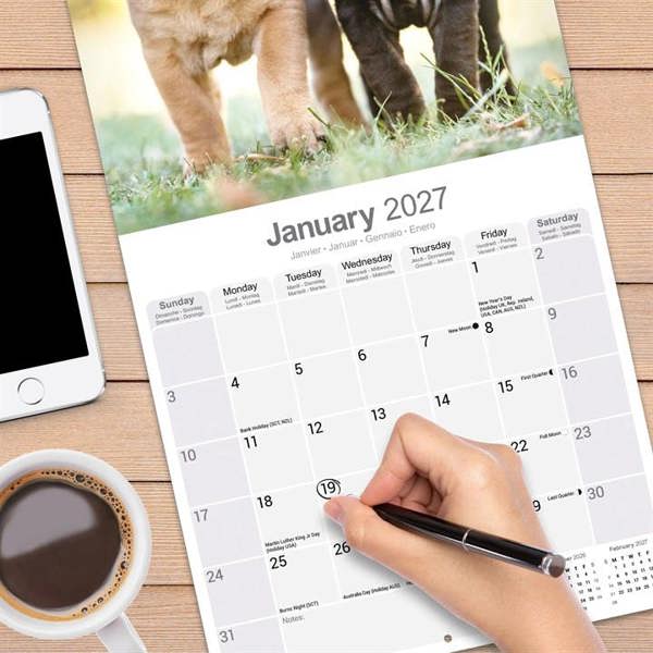 Shar Pei Calendar 2027, Wall Calendars, Month To View, Dogs, Gift
