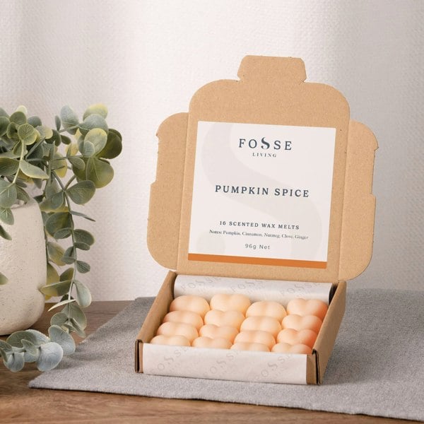 Fosse Living Pumpkin Spice Wax Melts - 16 Pack