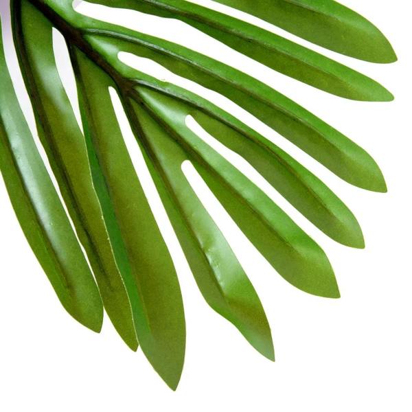 Artificial green fronds with glossy leaf texture