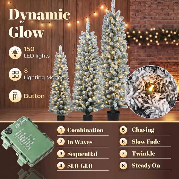 Christmas Tree with Lights