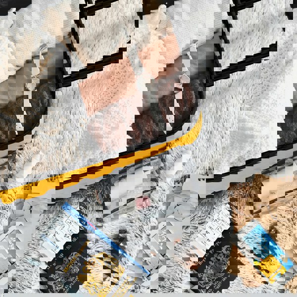 Flight Knight 45x36x20cm EasyJet Free Cabin Size Maximum Carry On Suitcase Cabin Bag