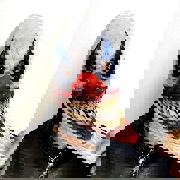 Faceskinz - Fabric Mask - Halloween Ideas