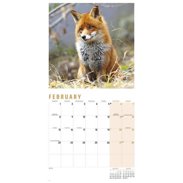 Foxes Calendar 2027, Wall Calendars, Month To View, Animals, Gift