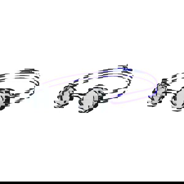 Arena Swedix black silver goggles with blue straps, tinted lenses, nose bridge, FINA approved