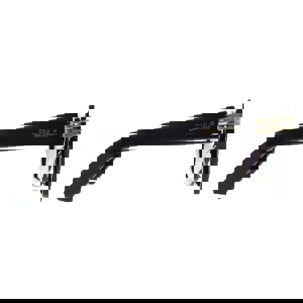 Dior Sunglasses Cdior S1I 10A1 Shiny Black Smoke Gradient