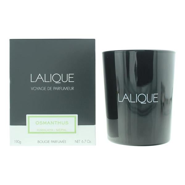 Lalique Osmanthus Himalaya - Nepal Candle 190g
