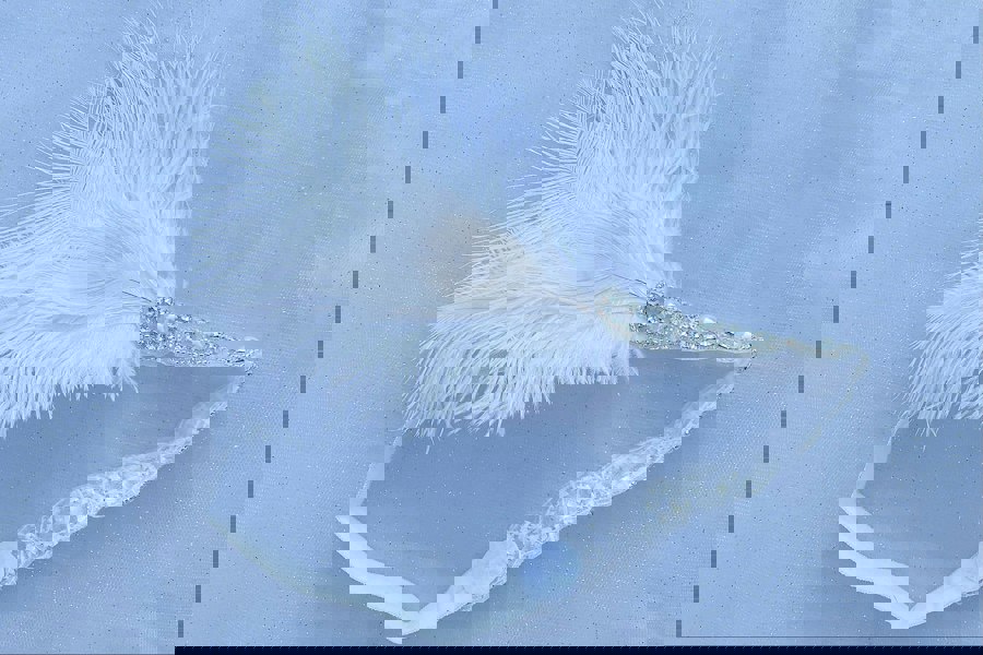 white gatsby headpiece with pearls elastic