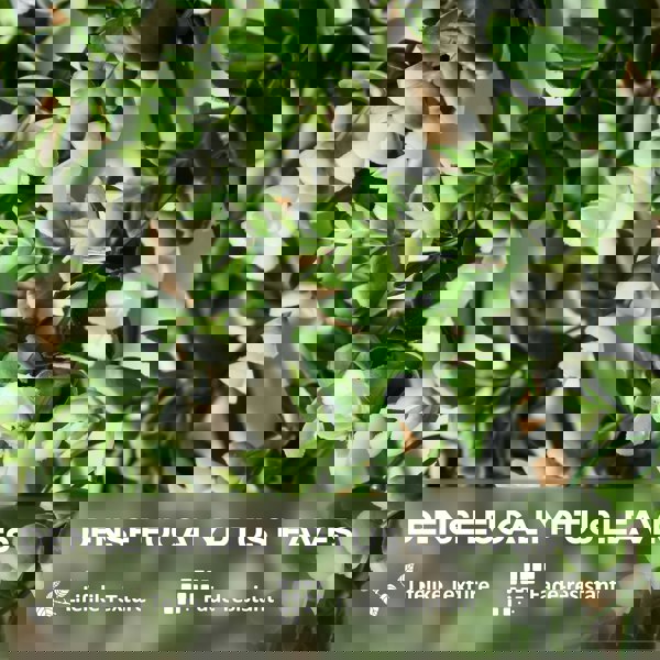 Artificial Hedge