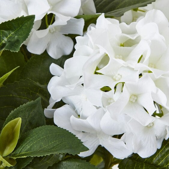 Wyld Haus Artificial Plant Medium White Hydrangea Plant In White Ceramic Pot