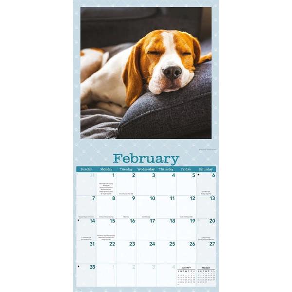 Dog Naps Calendar 2027, Wall Calendars, Month To View, Dogs, Gift