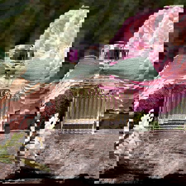 Chloé Rose Naturelle Eau de Parfum Refillable Spray 100ml - Additional 2