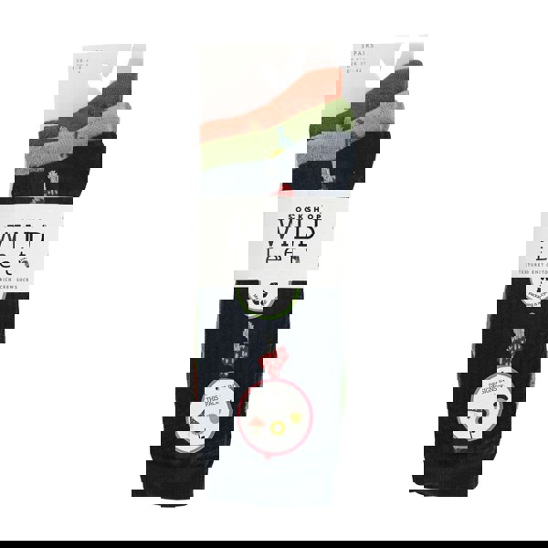t4option1_2