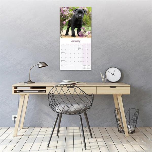 Staffordshire Bull Terrier Puppies Calendar 2027, Wall Calendars, Month To View, Dogs, Gift